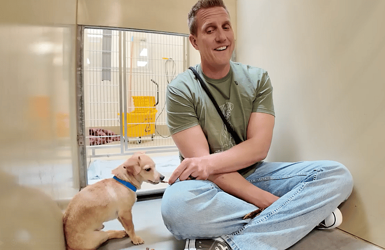 sitting with dogs 92 - pickles